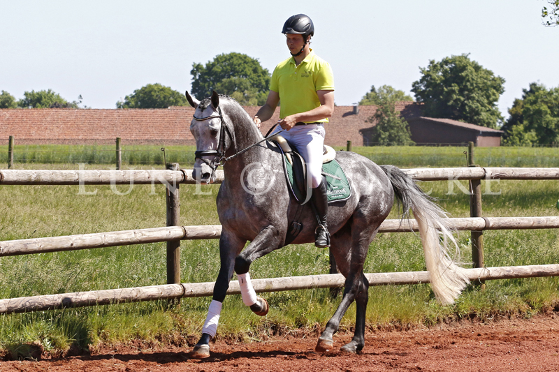 Adorator Foto © Lune Jancke