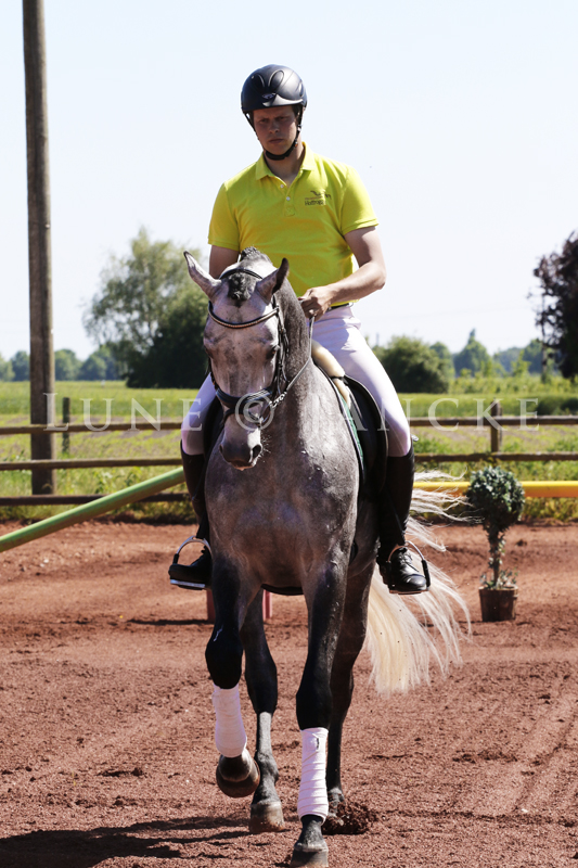 Adorator Foto © Lune Jancke