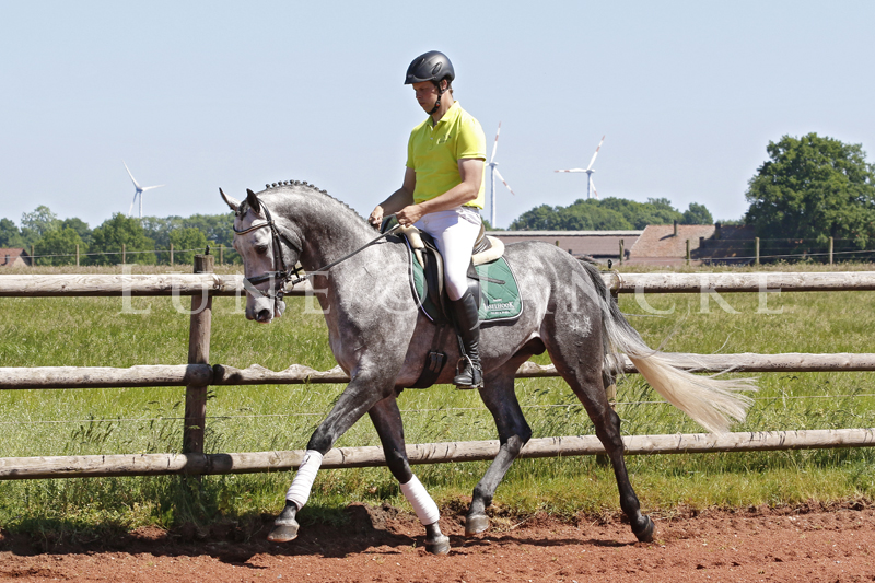 Adorator Foto © Lune Jancke