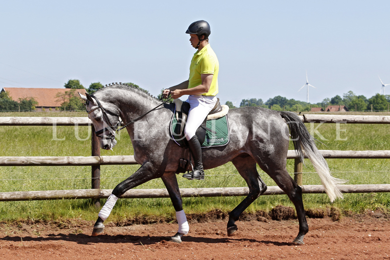 Adorator Foto © Lune Jancke