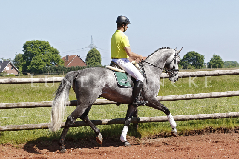 Adorator Foto © Lune Jancke