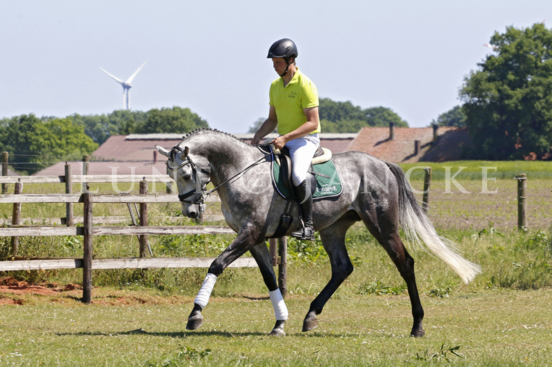 Adorator Foto © Lune Jancke