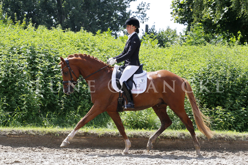 Deinheart Foto © Lune Jancke