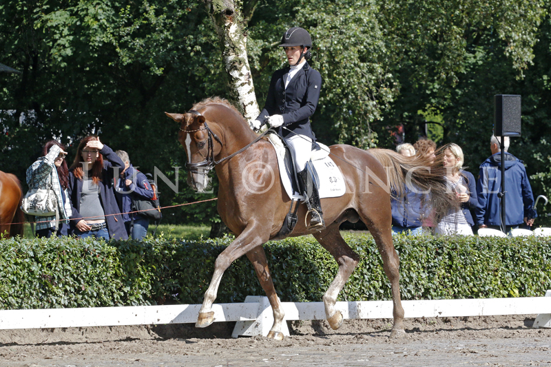 Glücksruf II Foto © Lune Jancke