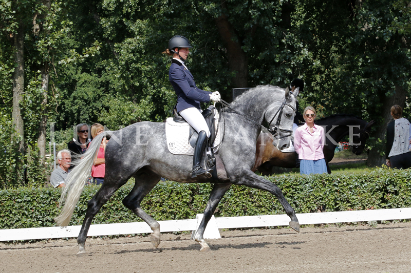 Hopkins Foto © Lune Jancke