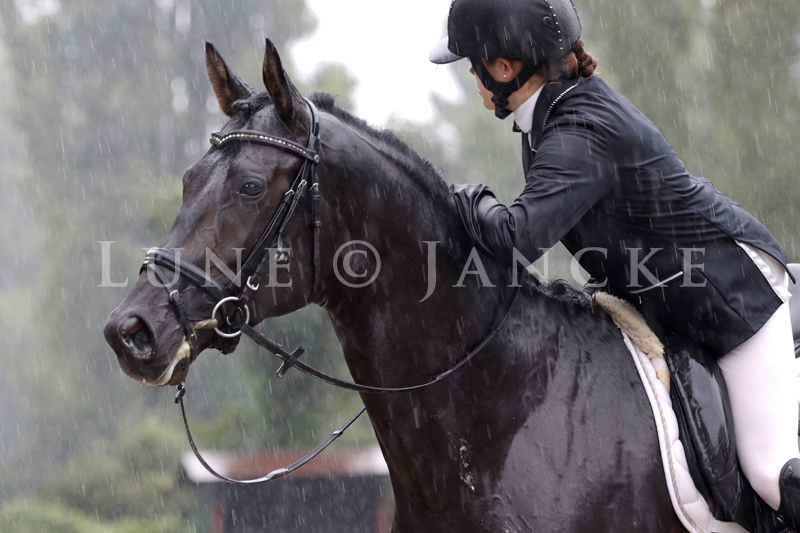 Panamera Foto © Lune Jancke