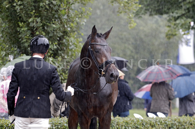 Under Fire Foto g Lune Jancke