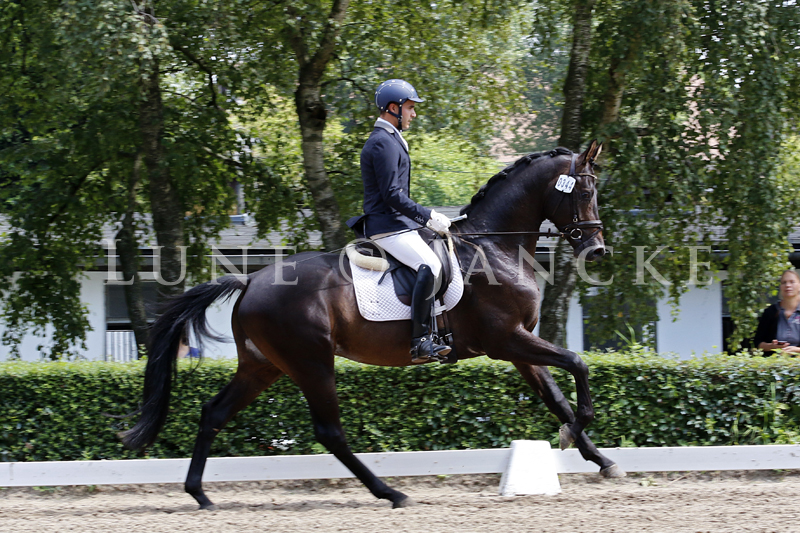 Rhenium Foto © Lune Jancke