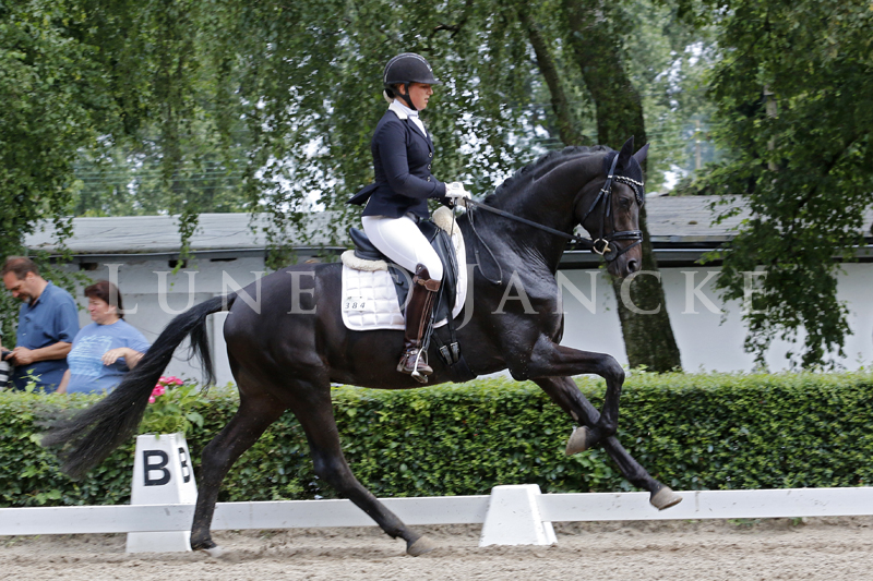 Speedway Foto © Lune Jancke