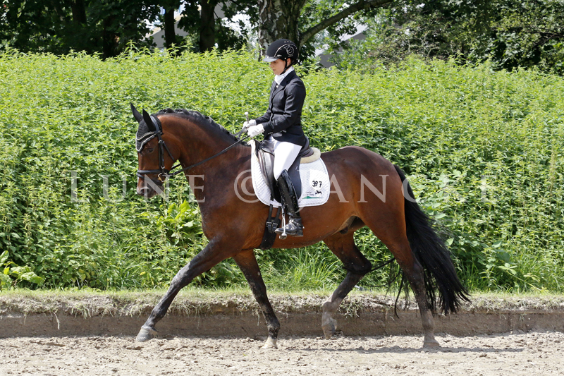 Statement Foto © Lune Jancke