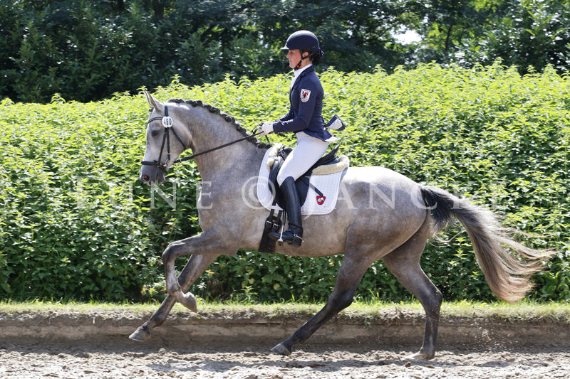 Zauberreigen Foto © Lune Jancke