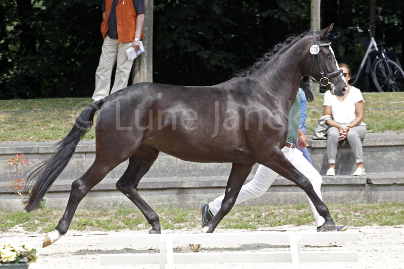 Ambiente Foto © Lune Jancke