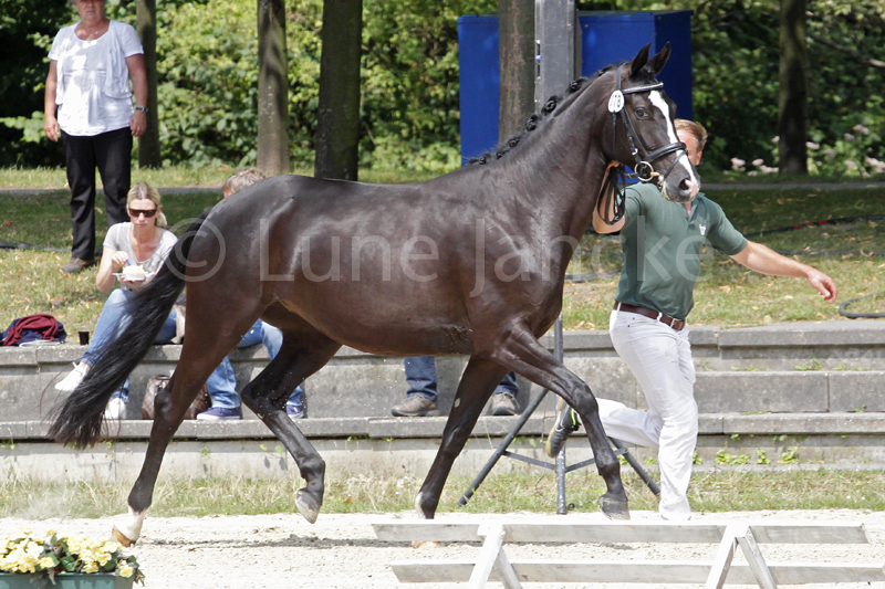 Ambiente Foto © Lune Jancke