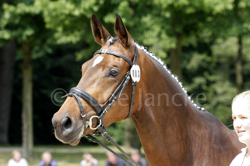Baila´s Binti Foto © Lune Jancke
