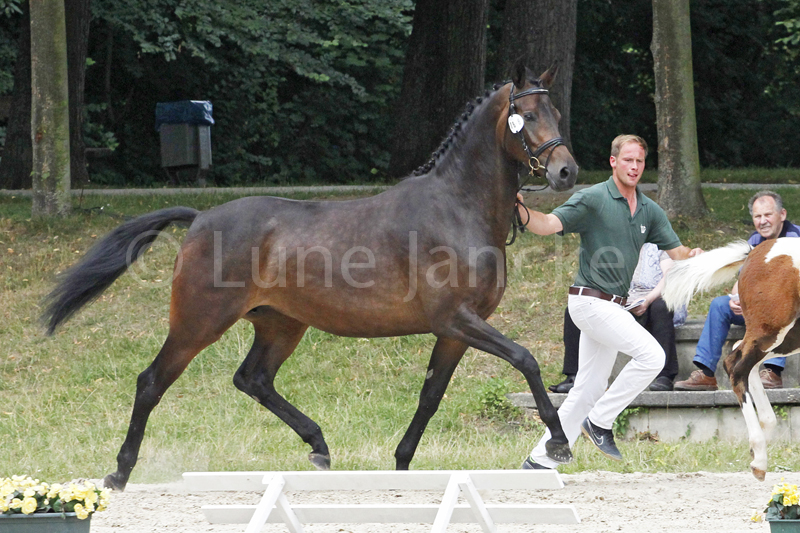 Imagyne Foto © Lune Jancke