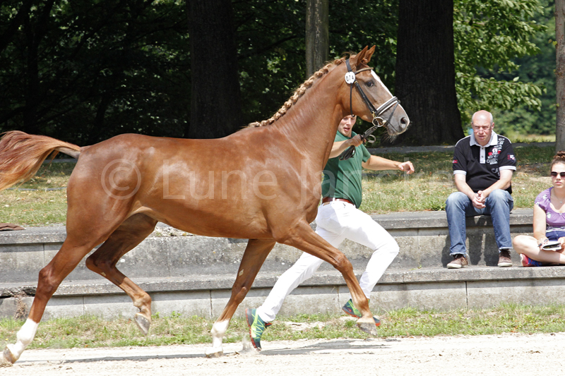 Longhena Foto © Lune Jancke