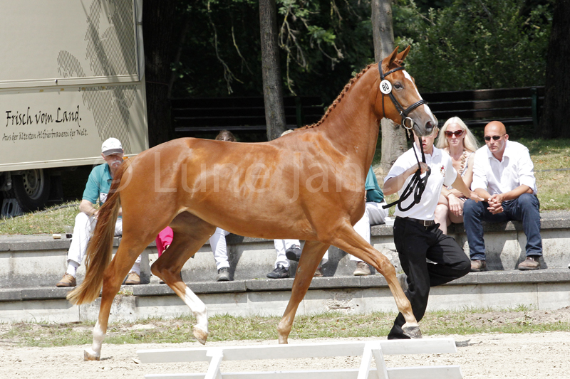 Matris Vota´s Mettet Foto © Lune Jancke