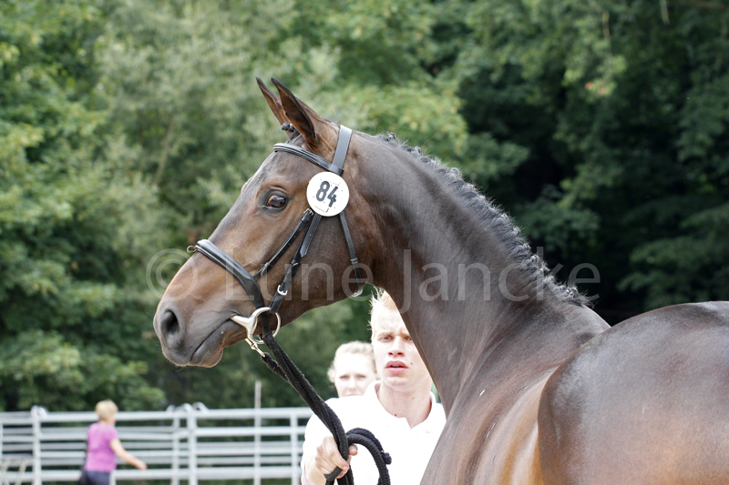 Matris Vota´s Montjuic Foto © Lune Jancke