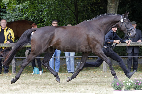 Society Lady Foto: Lune Jancke