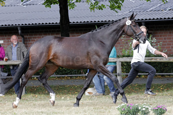 New Dawn Foto: Lune Jancke