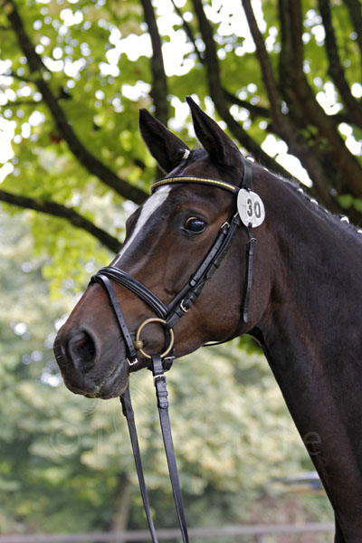 Rheinhilde Foto: Lune Jancke