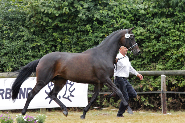 Elvira Foto: Lune Jancke