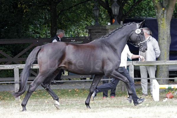 Feuertanz Foto: Lune Jancke