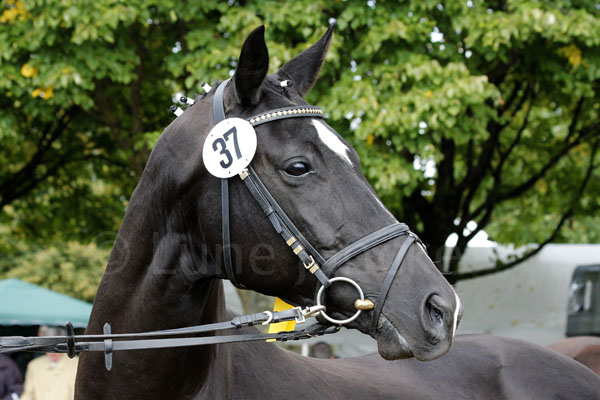 Aguilera Foto: Lune Jancke