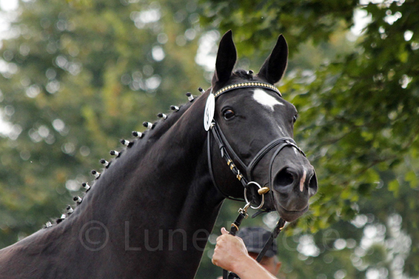 Aguilera Foto: Lune Jancke