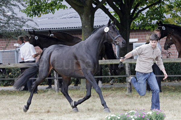 Merida-Augusta Foto: Lune Jancke