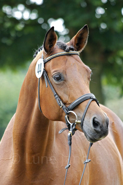 Skylight Foto: Lune Jancke