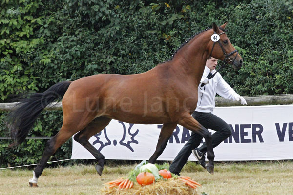 Skylight Foto: Lune Jancke
