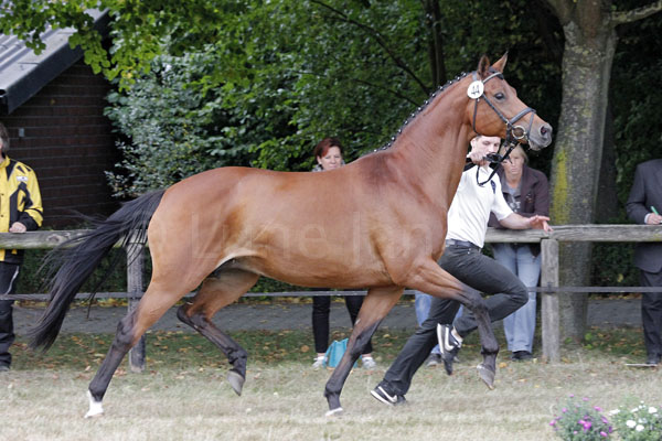 Skylight Foto: Lune Jancke