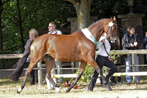 Evviva Foto: Lune Jancke