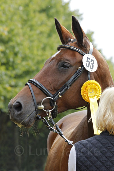 Gloria Foto: Lune Jancke