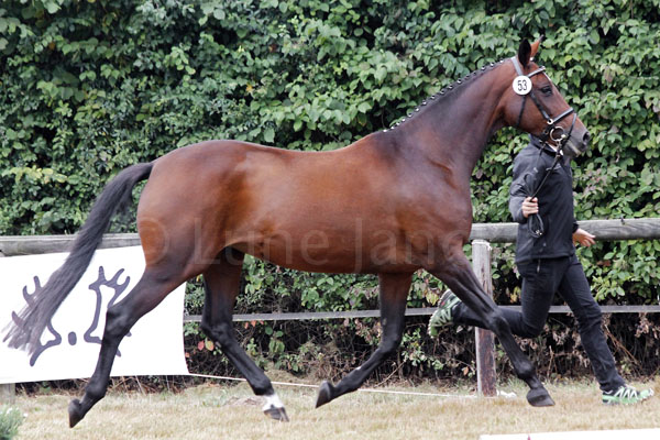 Gloria Foto: Lune Jancke