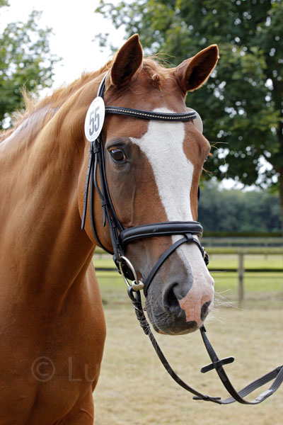 Zauberlied Foto: Lune Jancke