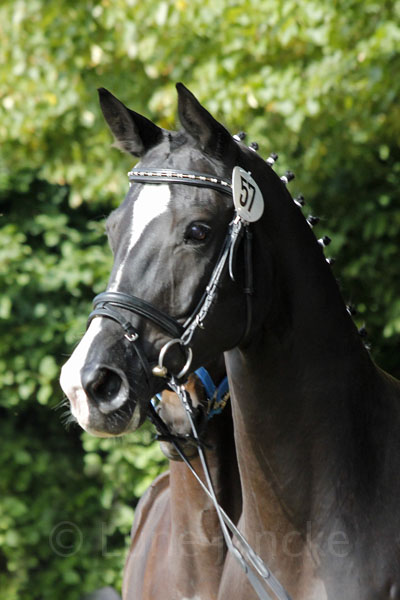 Palmnicken Foto: Lune Jancke