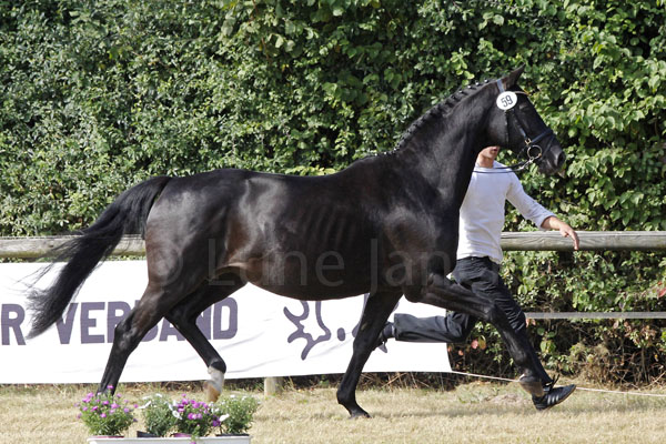 Ariane Foto: Lune Jancke