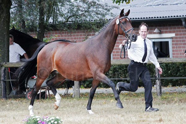 Shakira Foto: Lune Jancke
