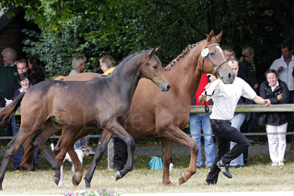 Manna Foto: Lune Jancke