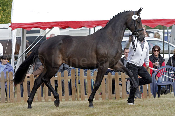 Elize Foto: Lune Jancke
