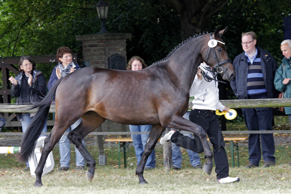 Elize Foto: Lune Jancke