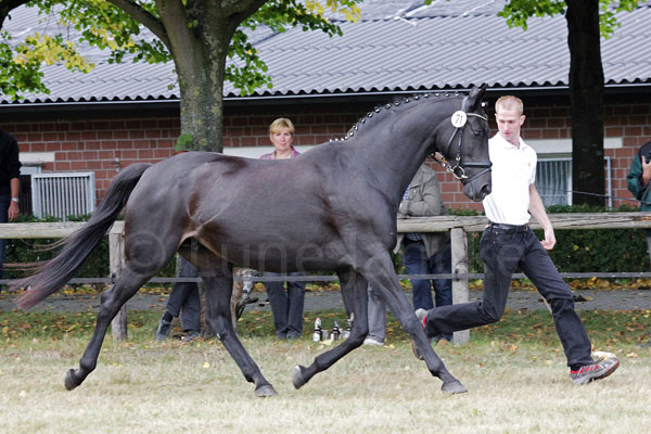 Gipsy Rose Foto: Lune Jancke