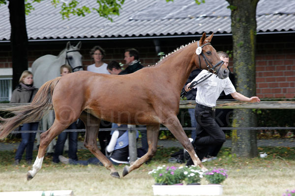 Aimee Foto: Lune Jancke