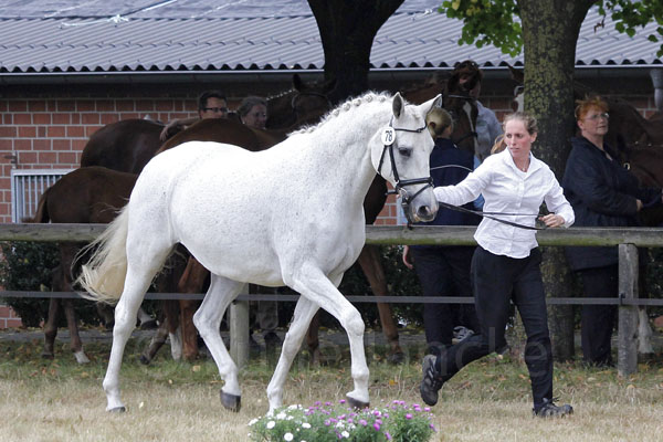 Franzisca Foto: Lune Jancke