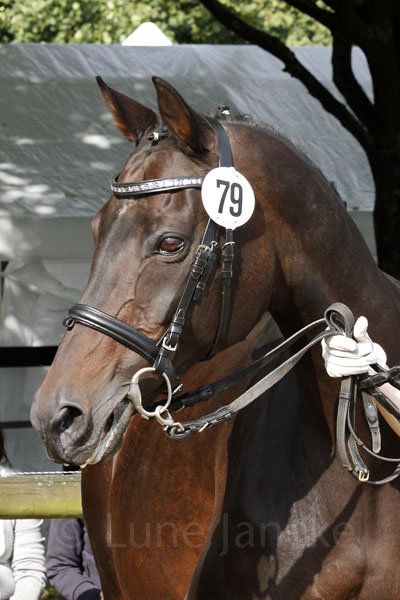 Oksana Foto: Lune Jancke