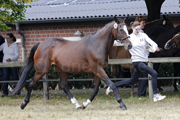 Brindisi Foto: Lune Jancke