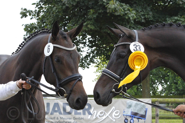 Elvira und Elize Foto: Lune jancke