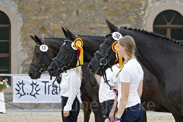 Familie d. Silona ©Lune Jancke